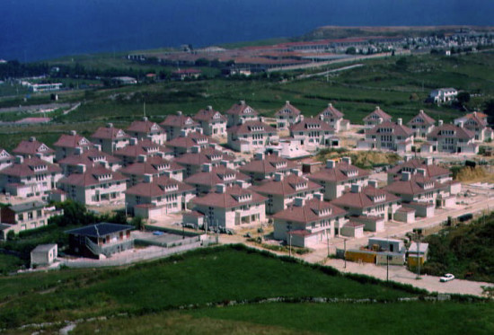 Sin-título-2.jpg